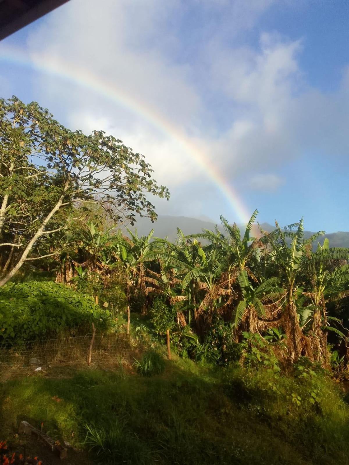Agartha Mountain Retreat Hostel Boquete Kültér fotó