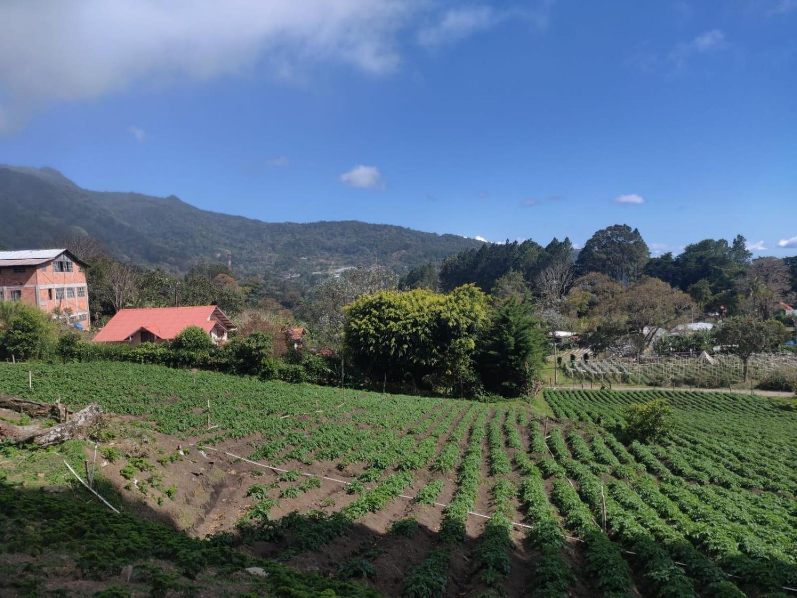 Agartha Mountain Retreat Hostel Boquete Kültér fotó